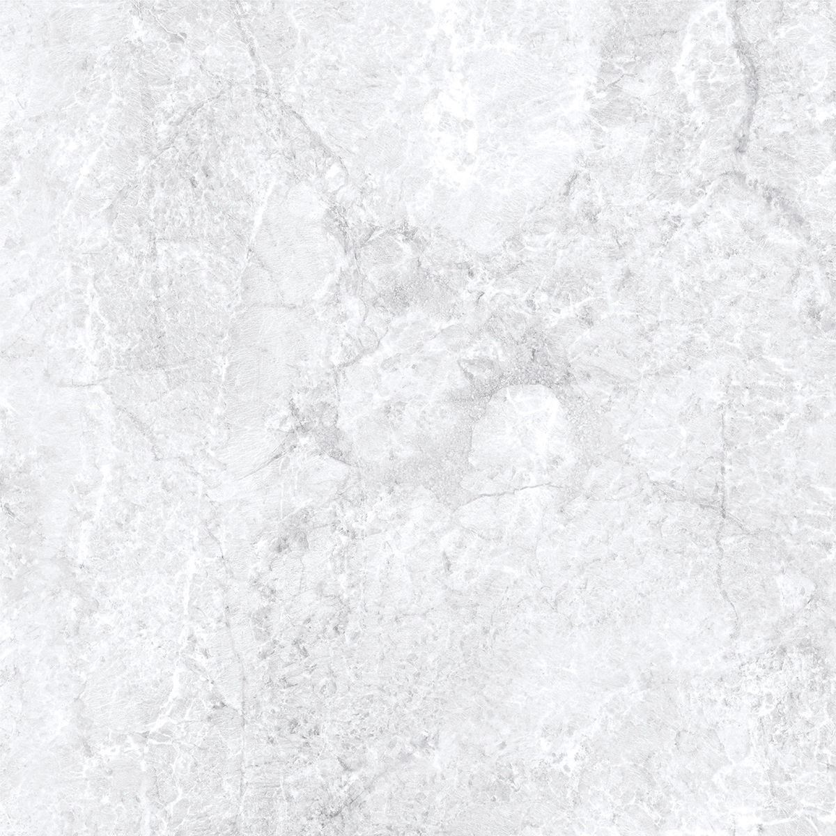 ARGENTINE WHITE