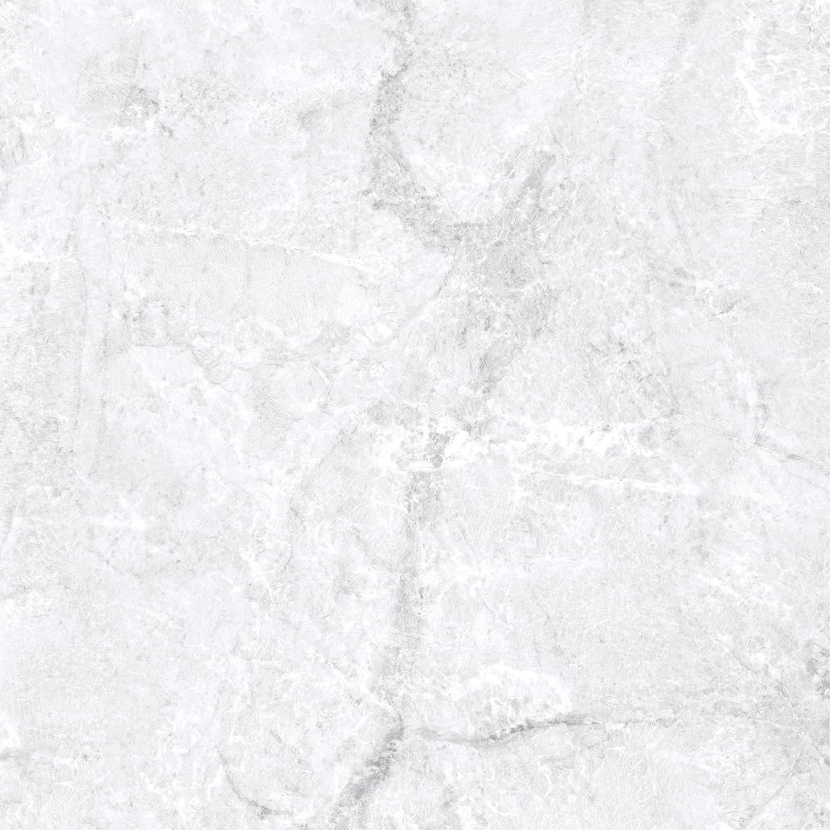 ARGENTINE WHITE