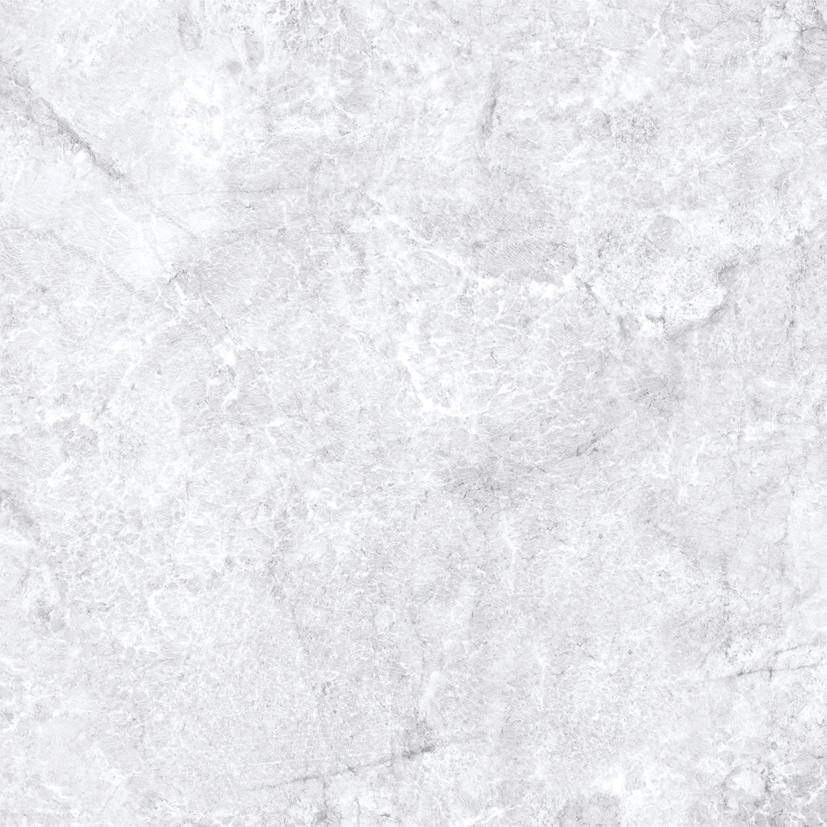 ARGENTINE WHITE