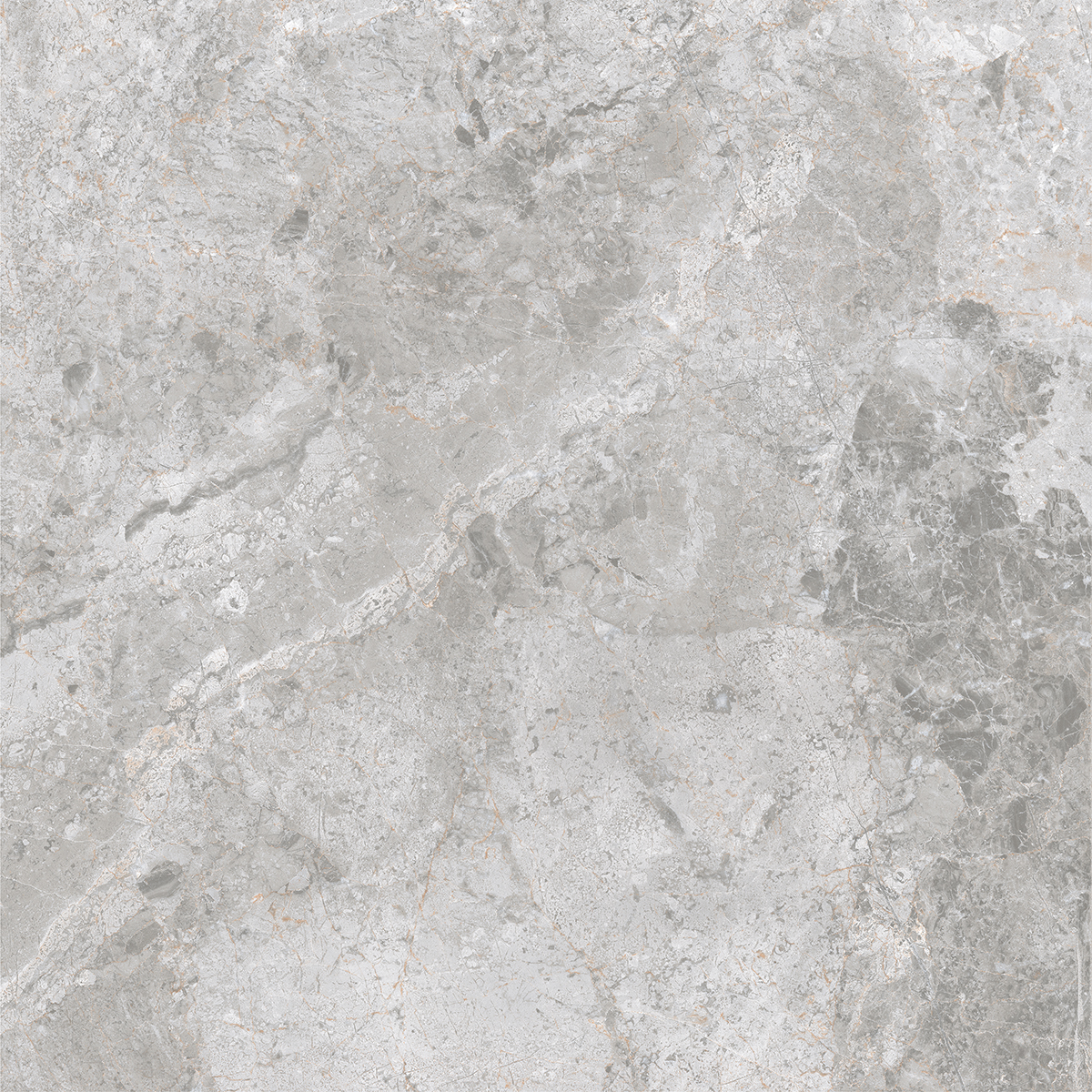 ARION GREY