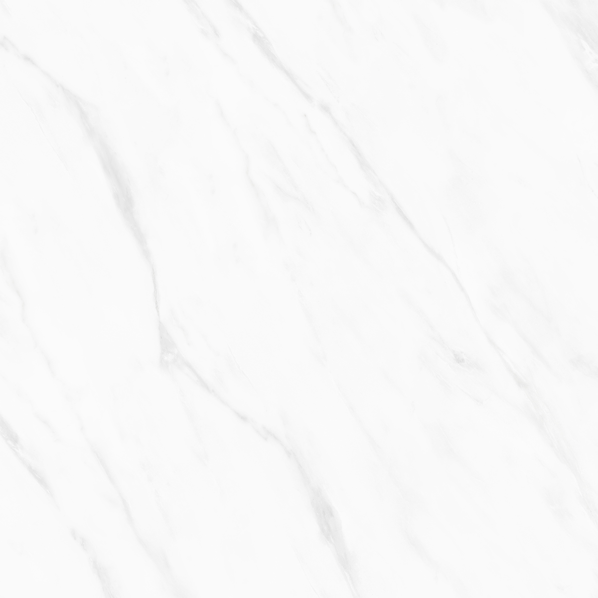 BLANCO CARRARA