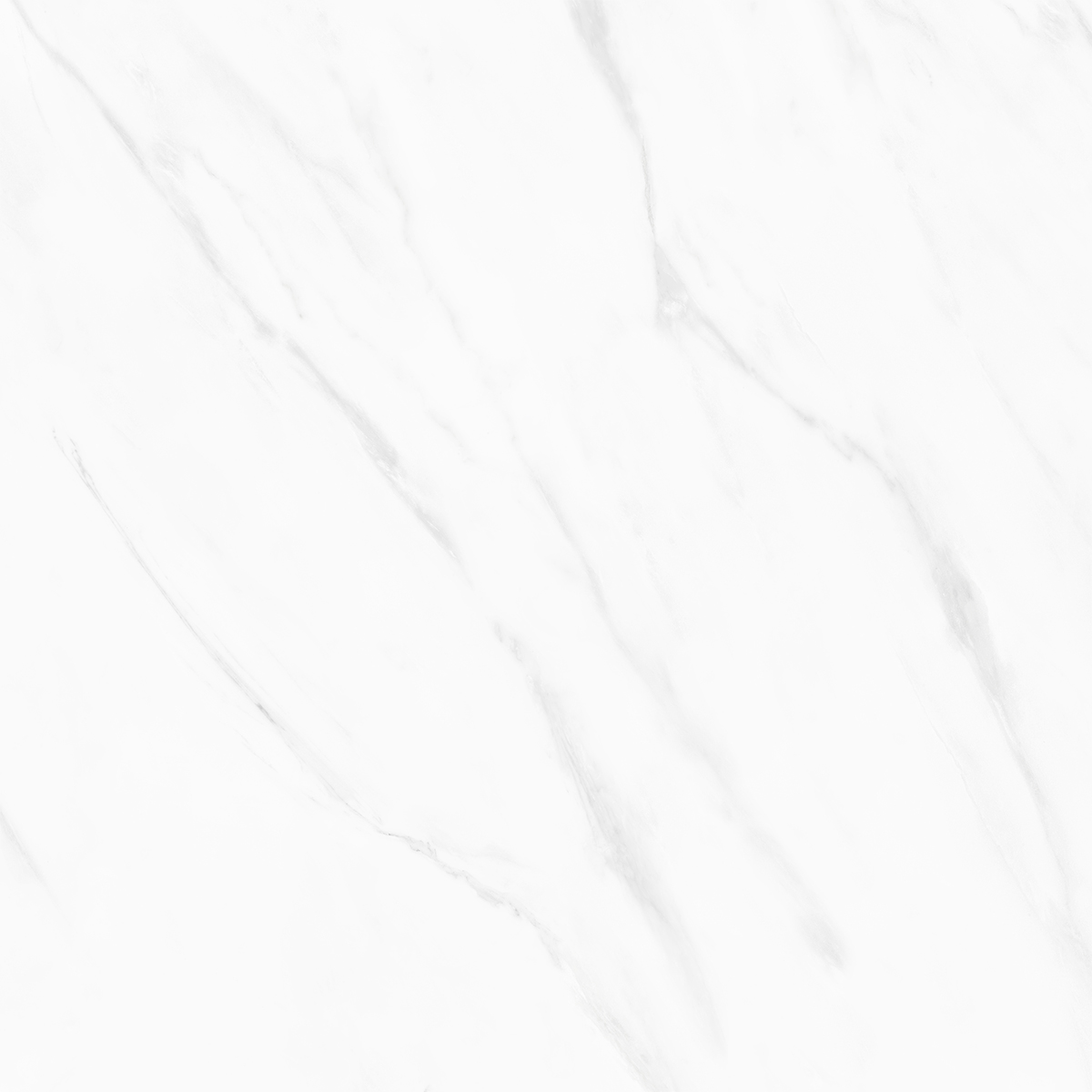 BLANCO CARRARA