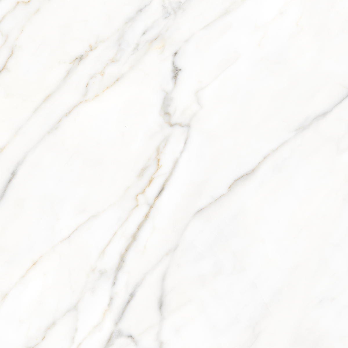 BOREAS WHITE