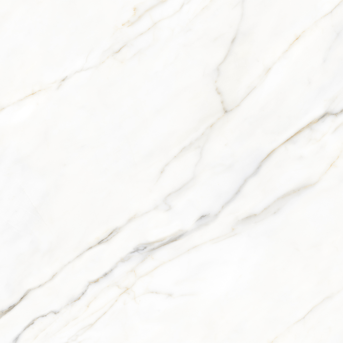 BOREAS WHITE