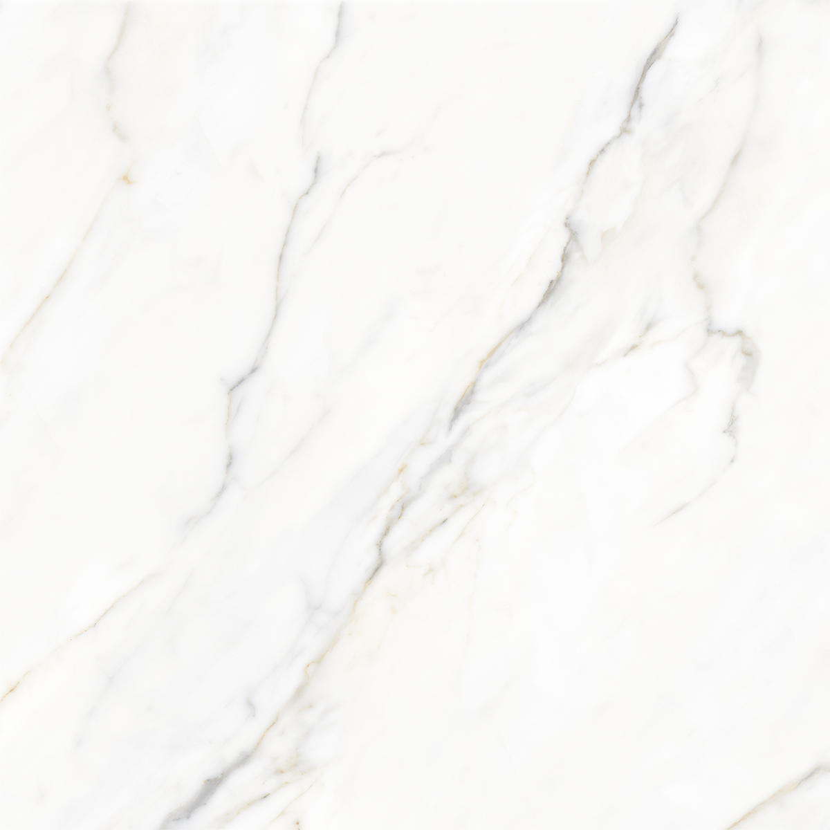 BOREAS WHITE