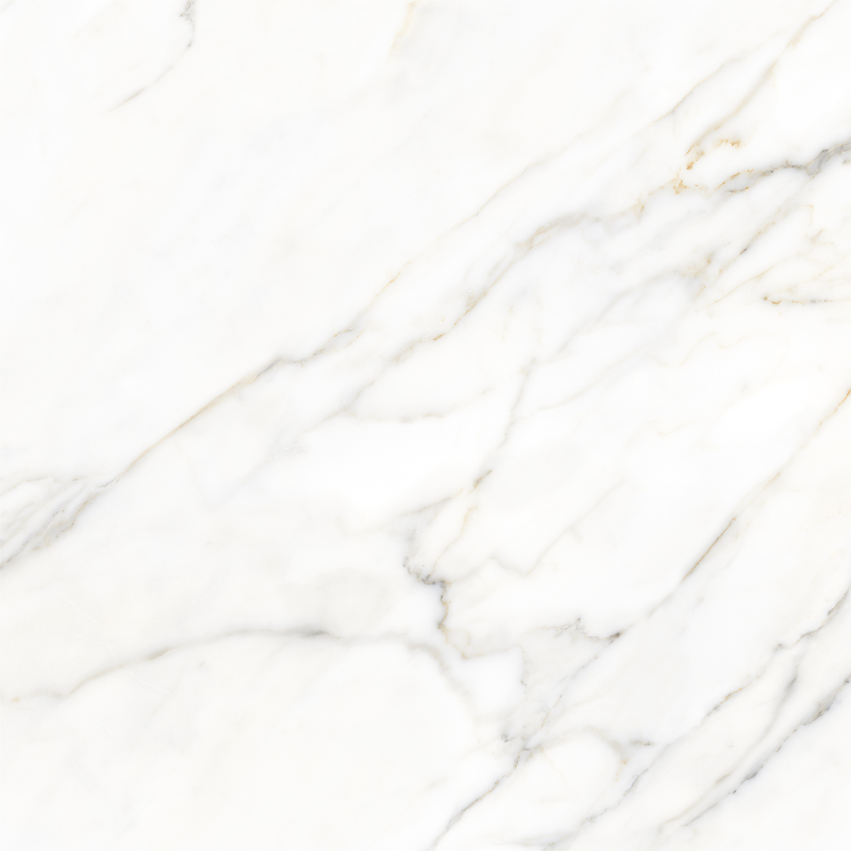 BOREAS WHITE