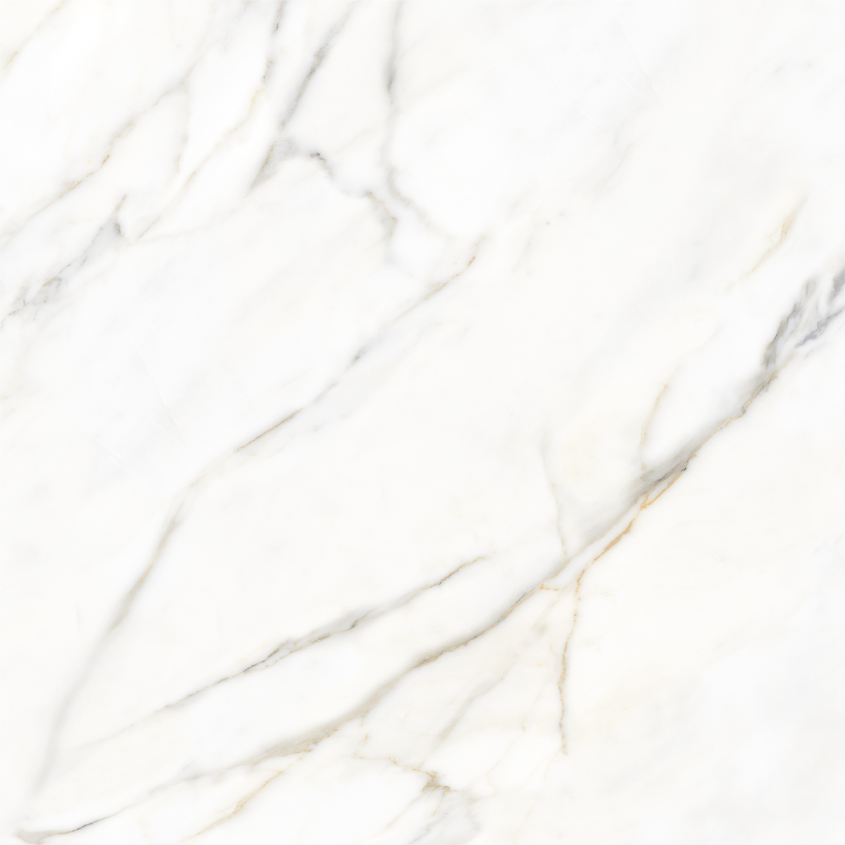 BOREAS WHITE