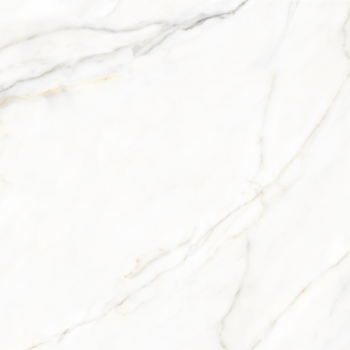 BOREAS WHITE