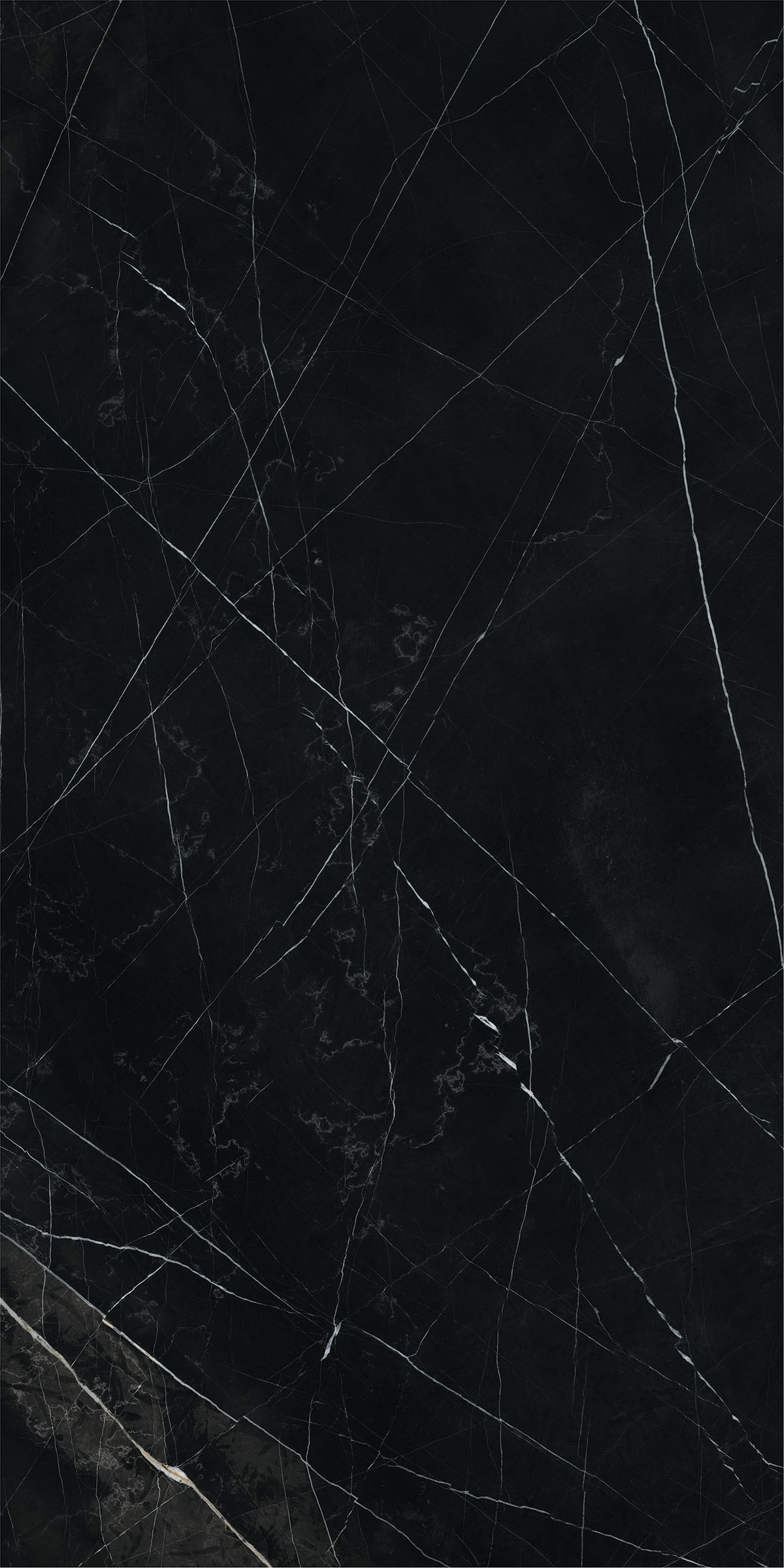 SENSI BLACK