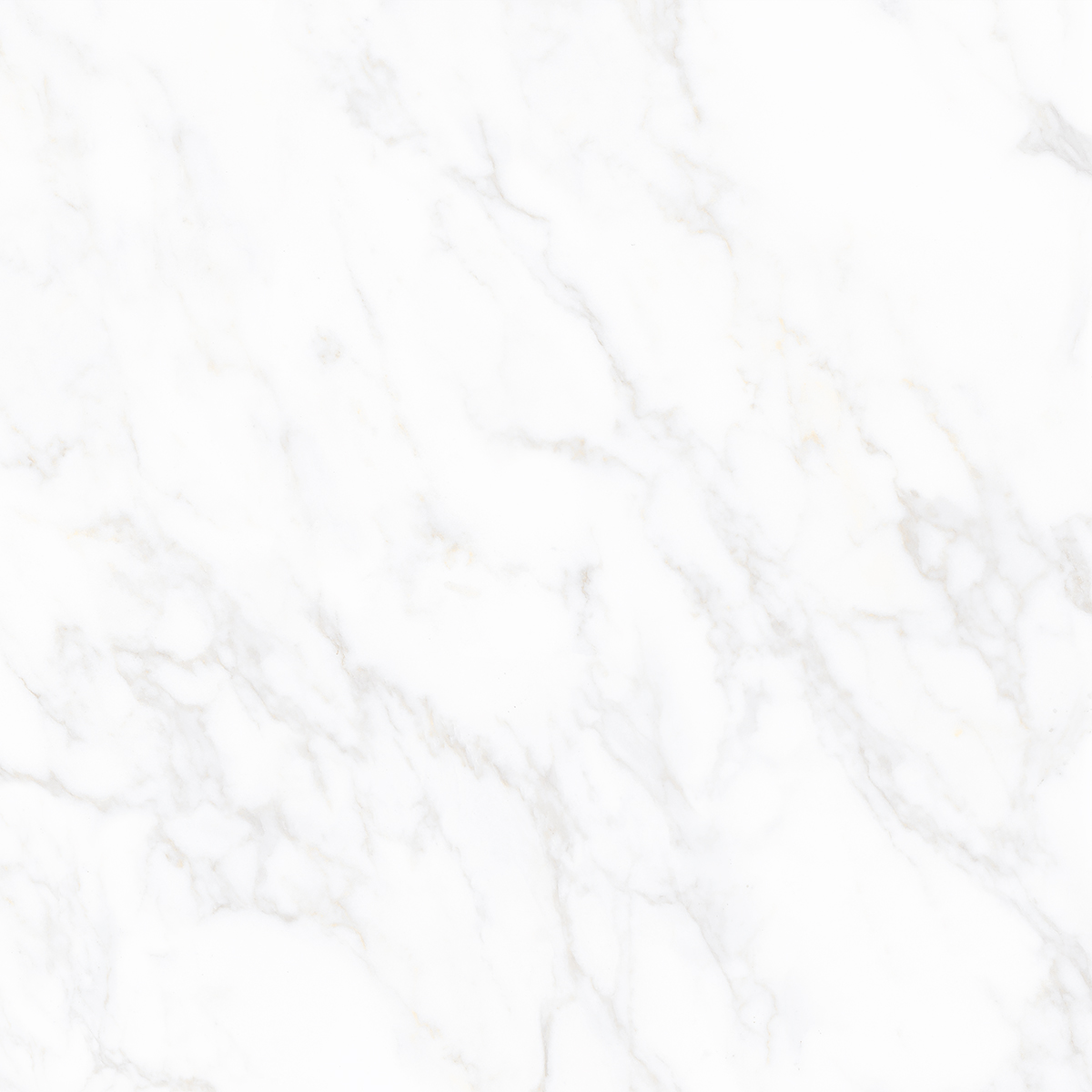 CARRARA AVENZA