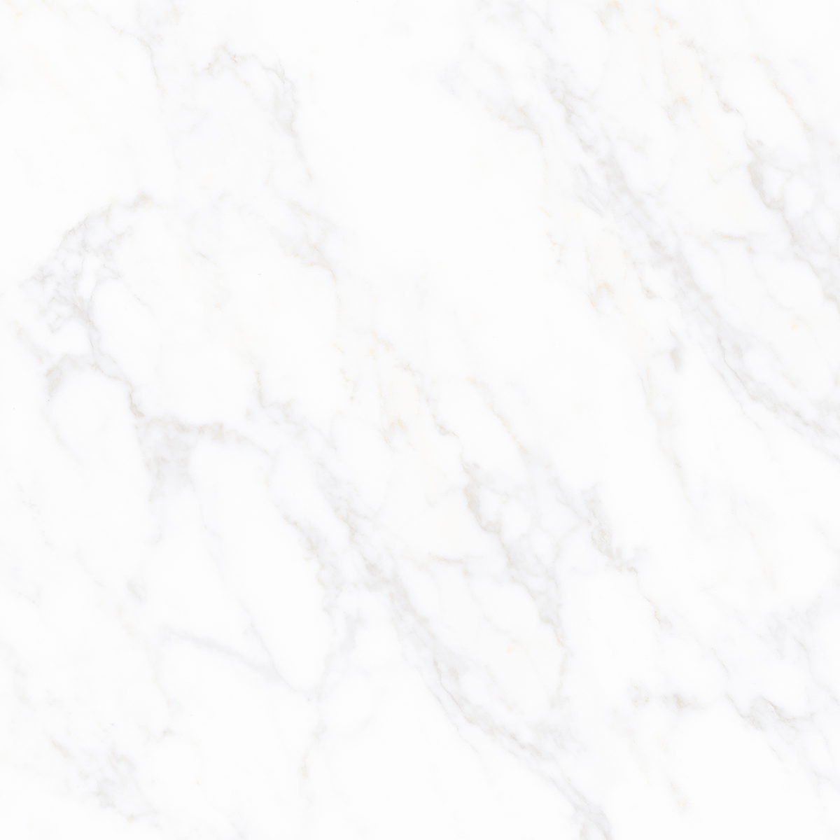 CARRARA AVENZA
