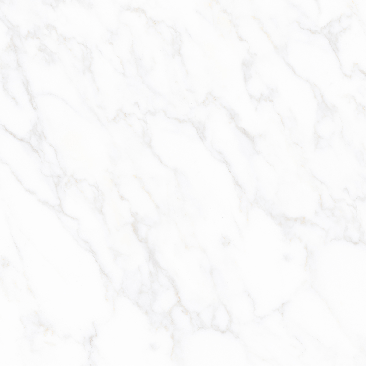 CARRARA AVENZA