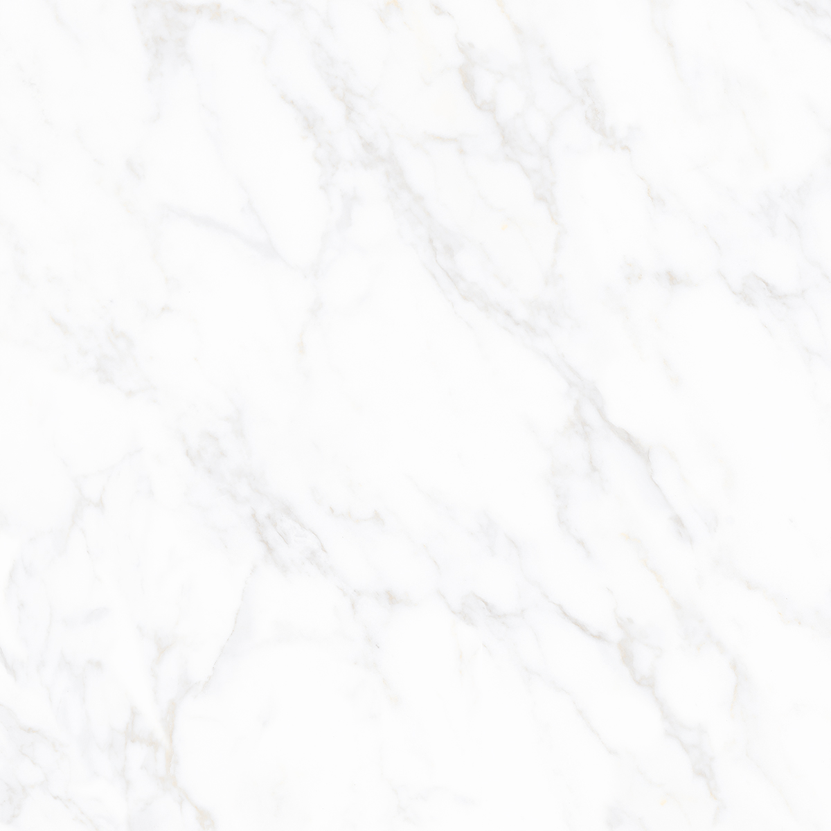 CARRARA AVENZA