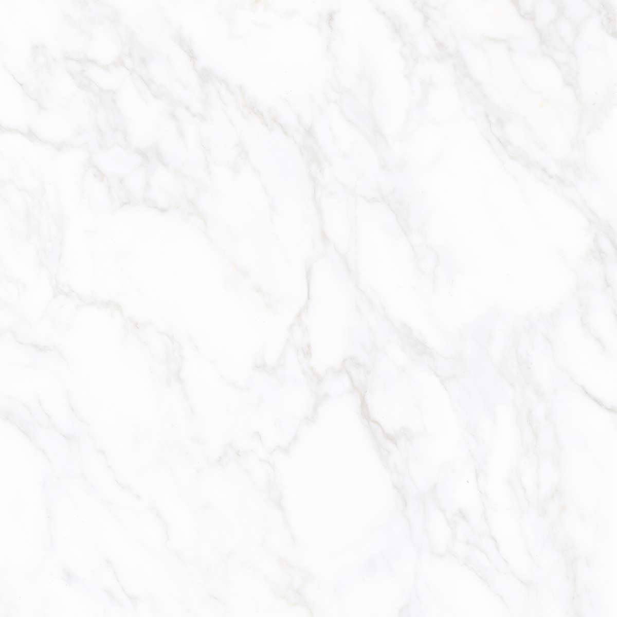 CARRARA AVENZA