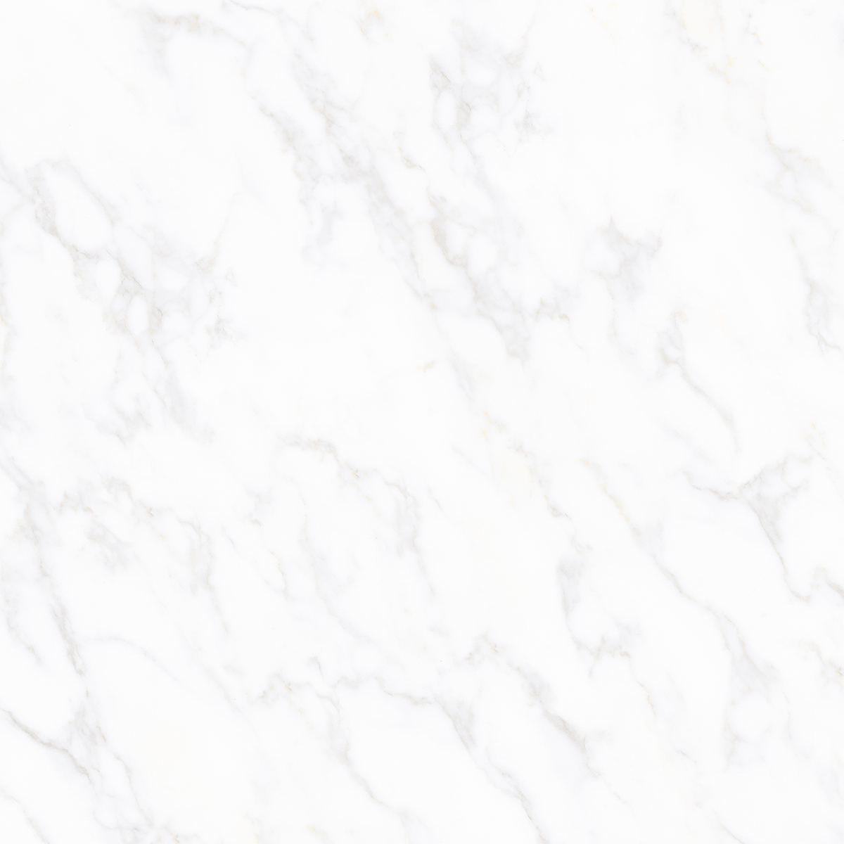 CARRARA AVENZA