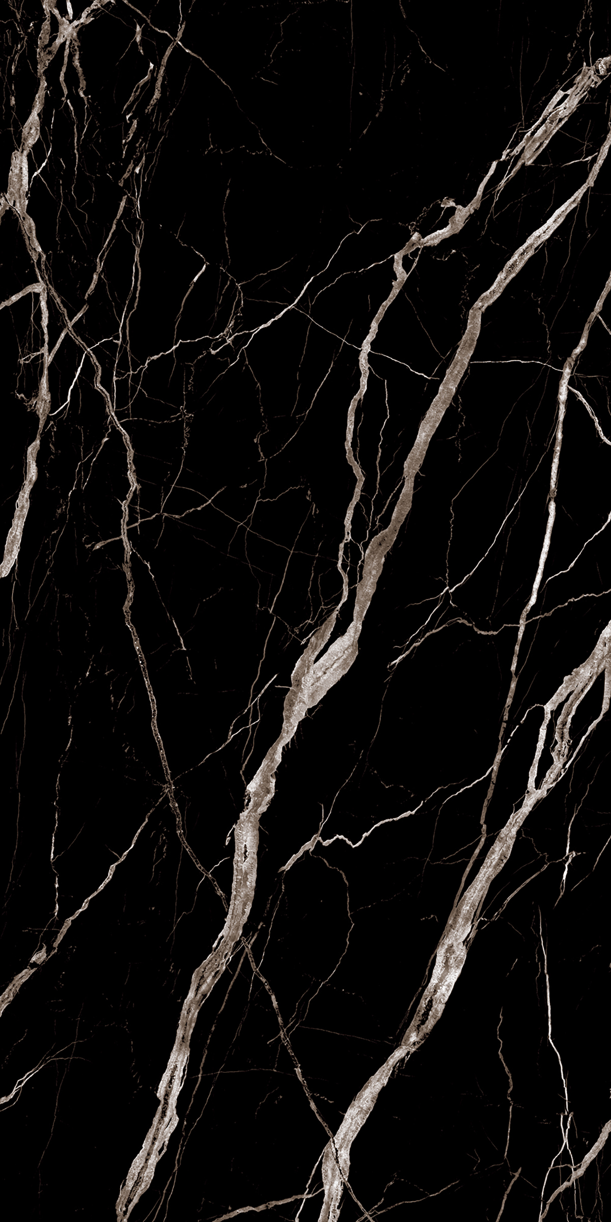 SIRIUS BLACK