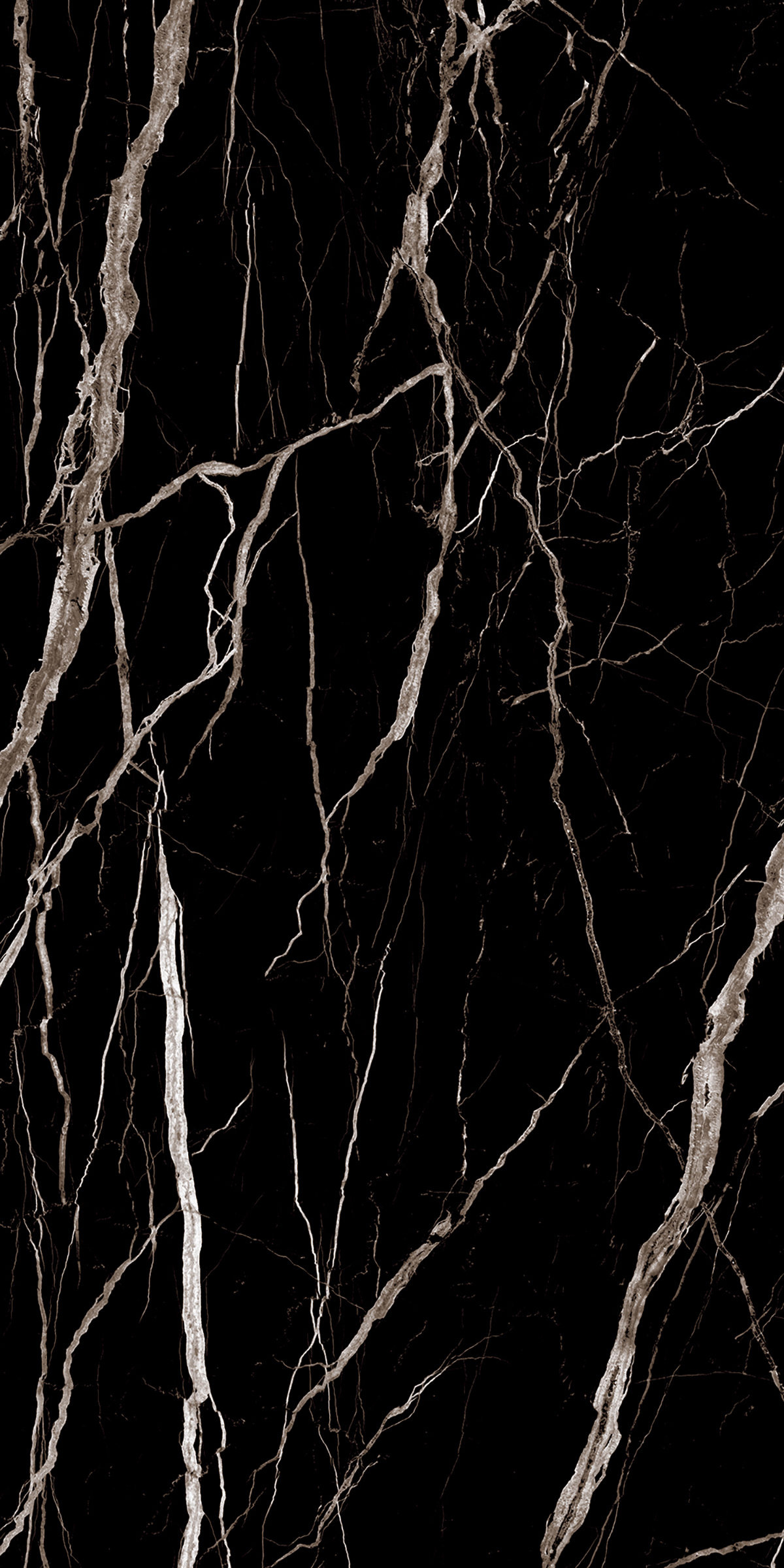 SIRIUS BLACK