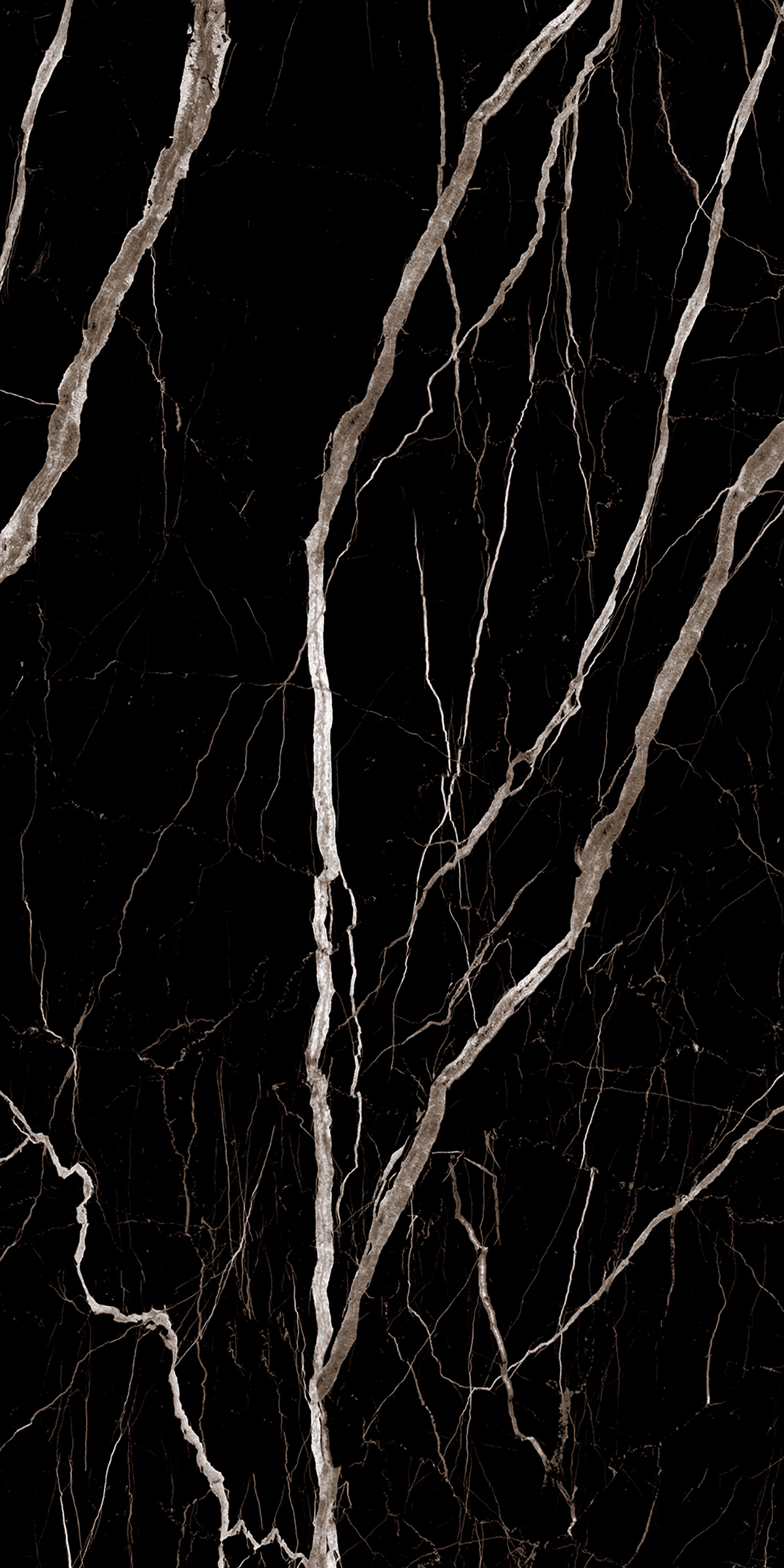 SIRIUS BLACK