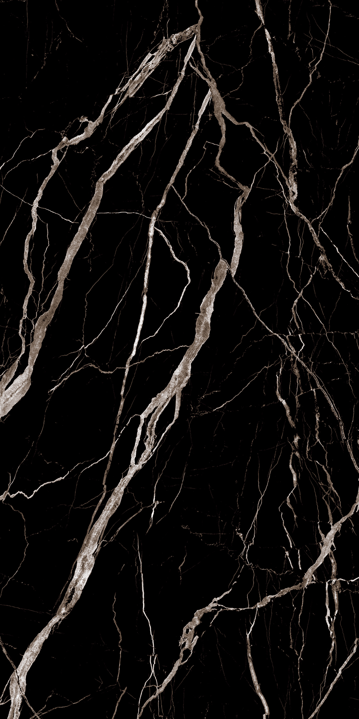 SIRIUS BLACK