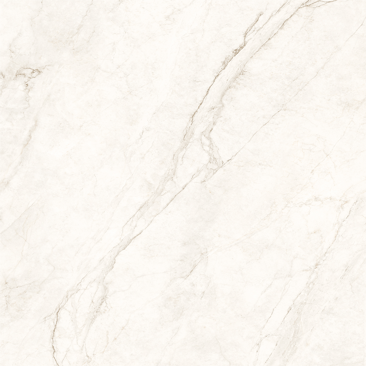 COSMOS WHITE