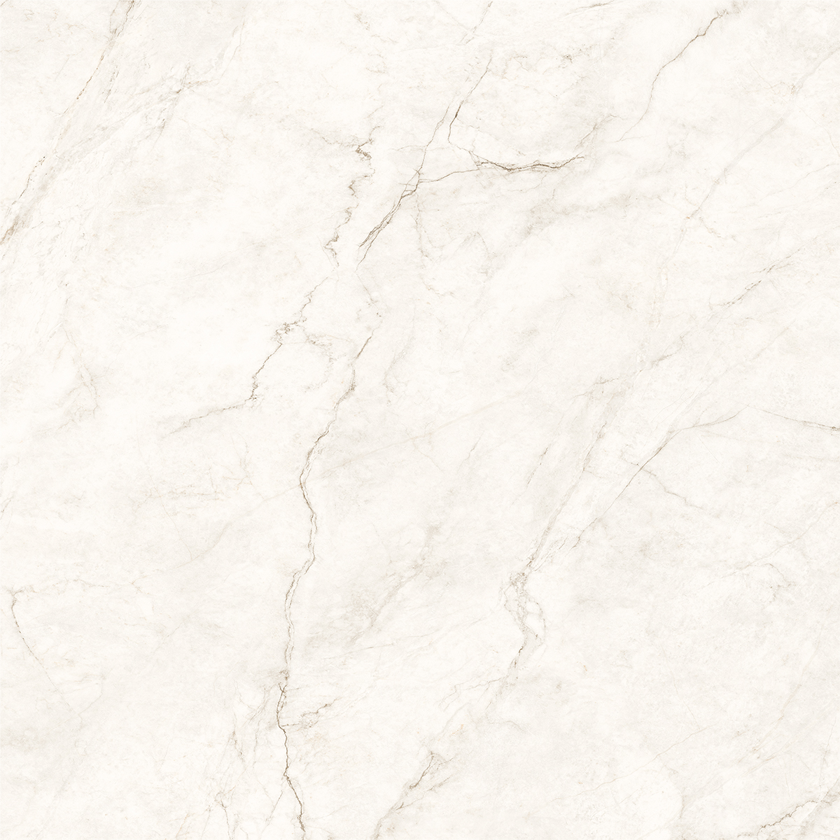 COSMOS WHITE