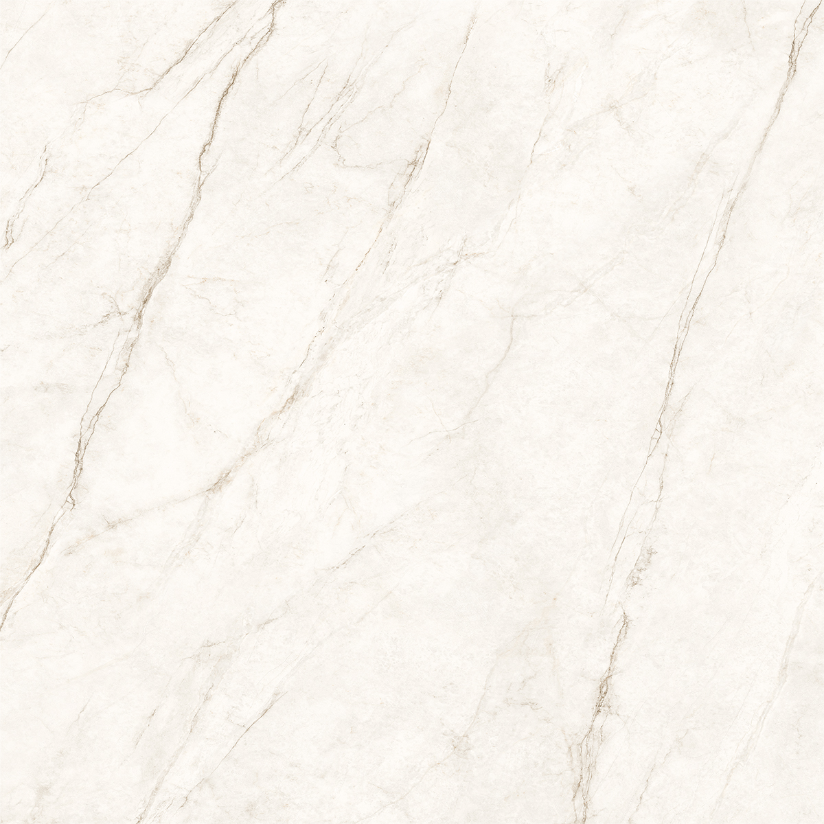 COSMOS WHITE