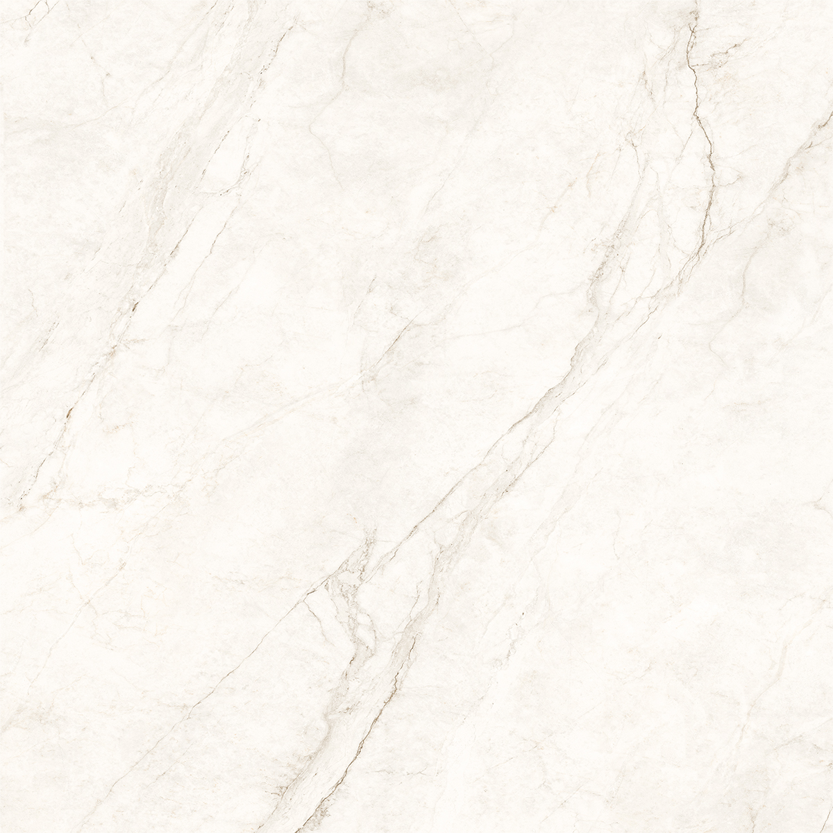 COSMOS WHITE