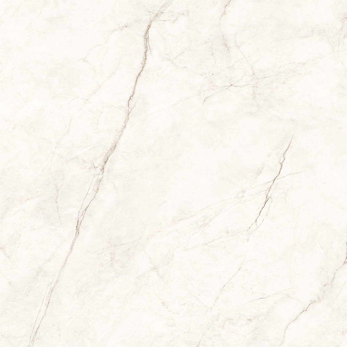 COSMOS WHITE