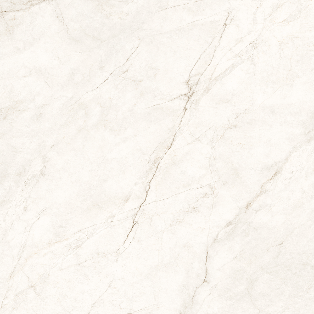 COSMOS WHITE
