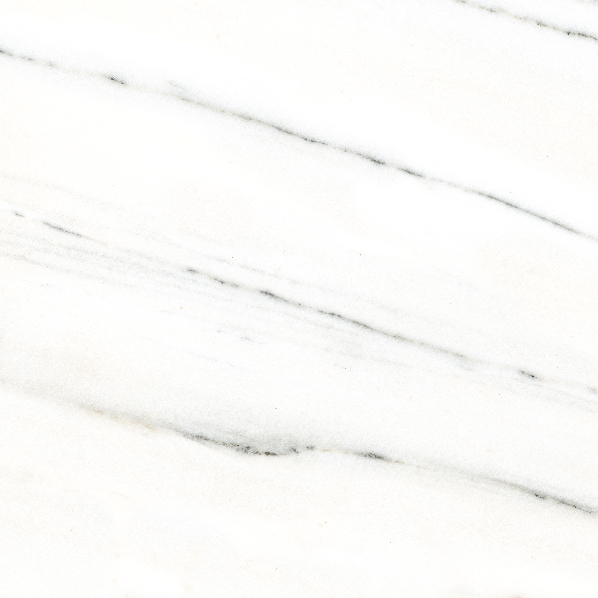 FRENCH WHITE
