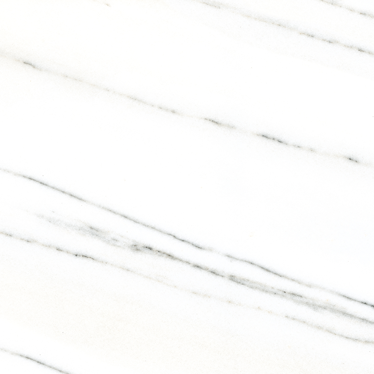FRENCH WHITE