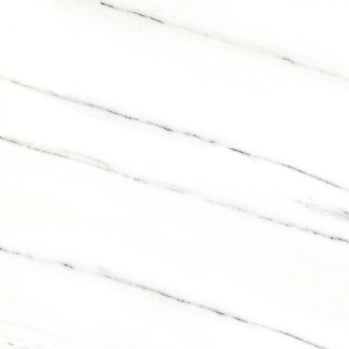 FRENCH WHITE