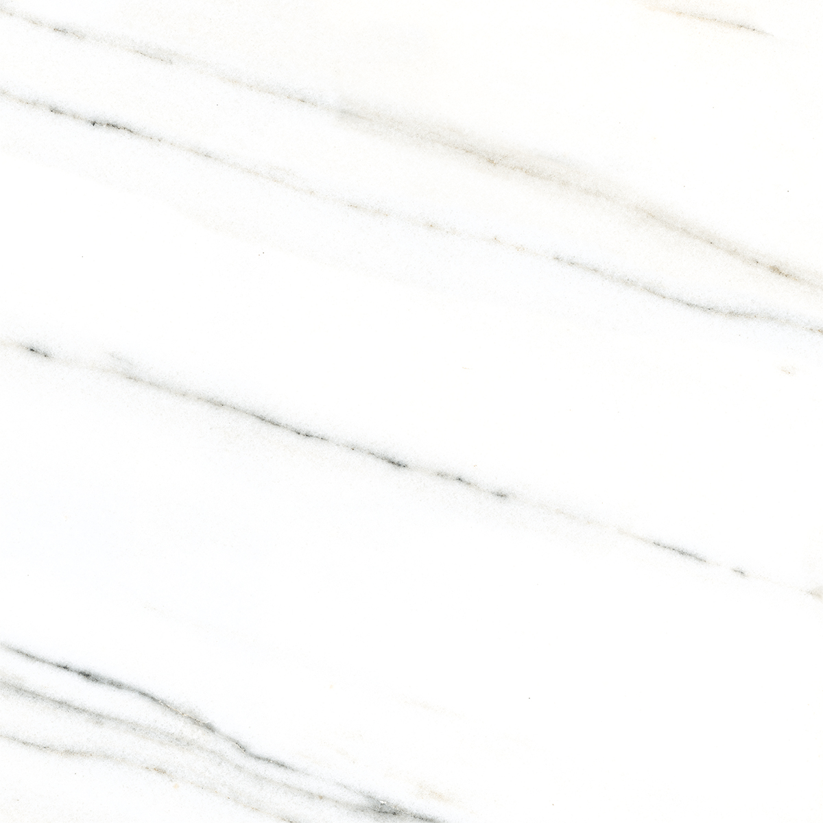 FRENCH WHITE